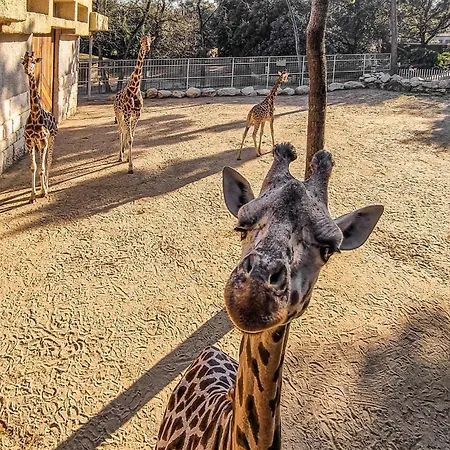 2 Bedroom Gorgeous In * Royan