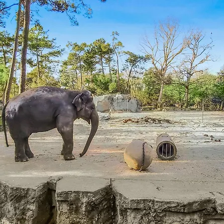 Vakantiehuis 2 Bedroom Gorgeous In Royan