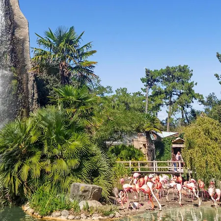 2 Bedroom Gorgeous In *